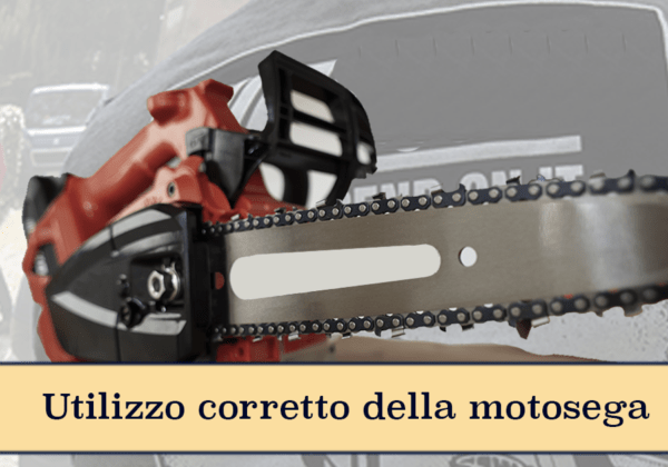 Utilizzo in sicurezza della MOTOSEGA – 16 ore